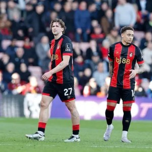 C7娱乐-关于布莱顿主场不敌切尔西，欧冠资格斗争更加激烈的信息