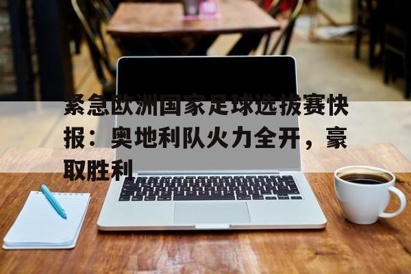 欧洲杯奥地利队赛况 欧洲杯奥地利队赛况